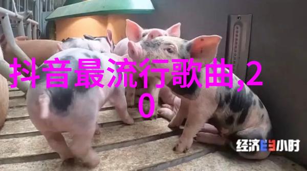 印度尼西亚群岛是一个单独的大陆还是由几个小的板块组成的呢
