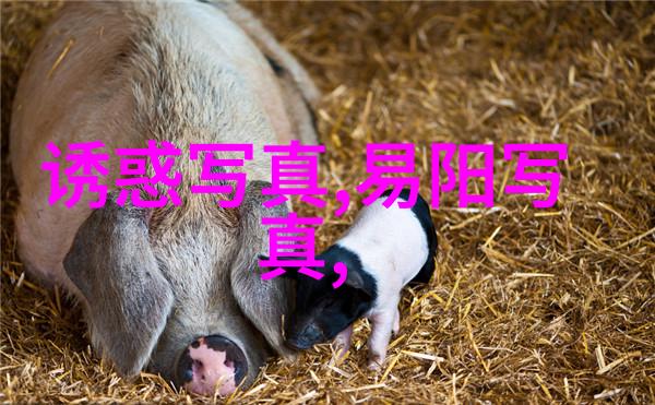 逆袭八卦从天然至虚幻