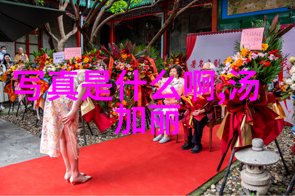 影视梦想园青苹果乐园的故事篇章