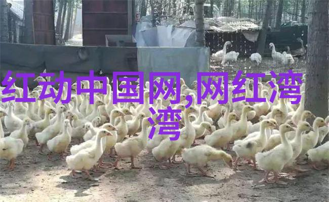 深夜的阴影电视剧中的暗战故事
