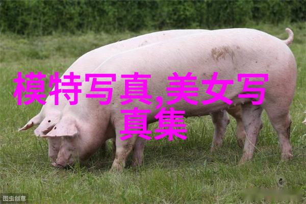 婚姻命运探秘揭秘最准确的免费测婚配方法