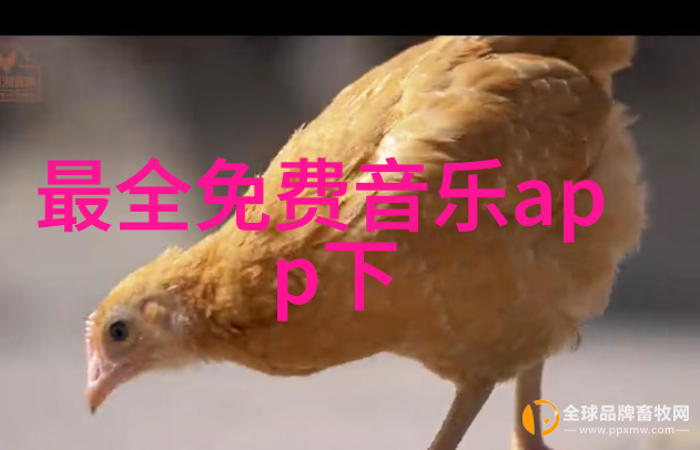 台湾人何时可回大陆探讨复交条件与机制