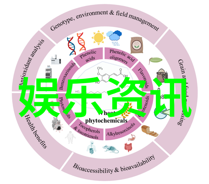 新一代偶像剧情发展趋势分析及市场潜力探讨