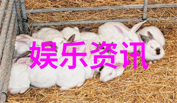 网红大咖排行榜你知道哪些网红是最火的吗来看看这份超实用的排行榜