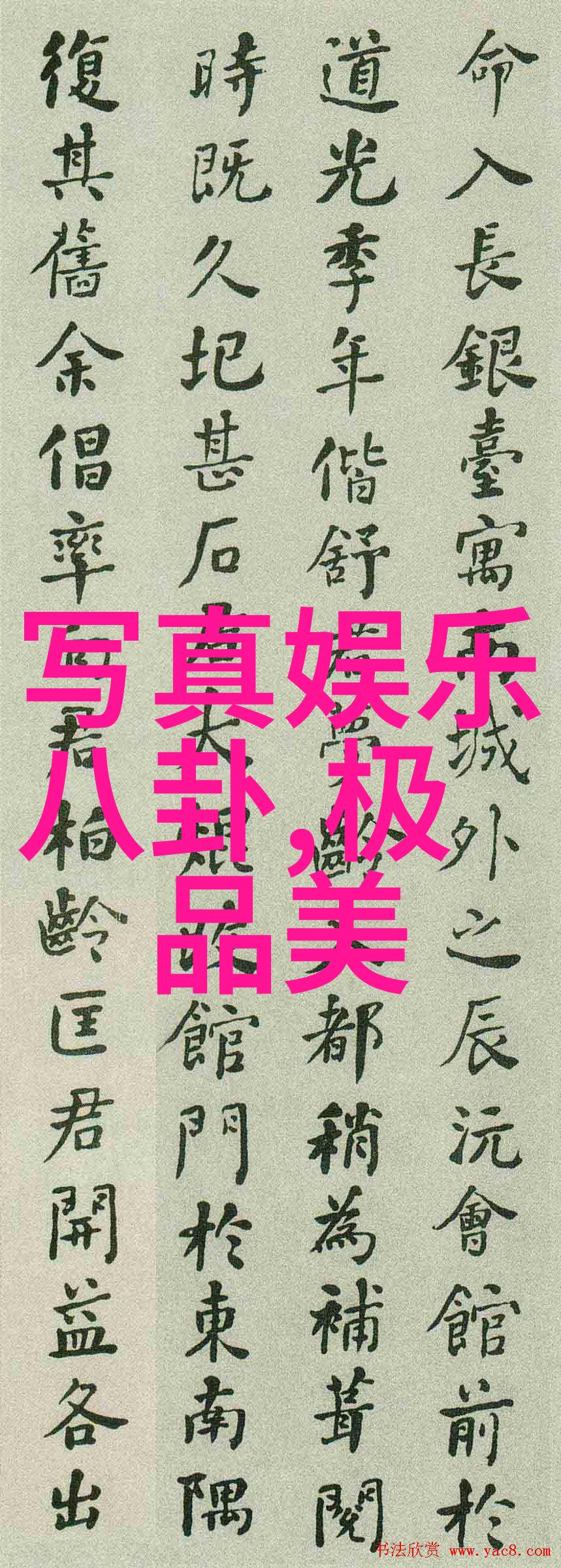 善良小姨子电影结局揭秘夜莺遭遇的悲欢离合