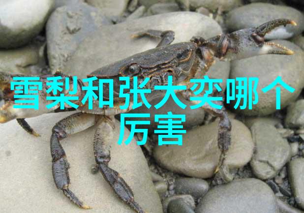 面对核武器威胁一旦开战最危险的都市有何特征