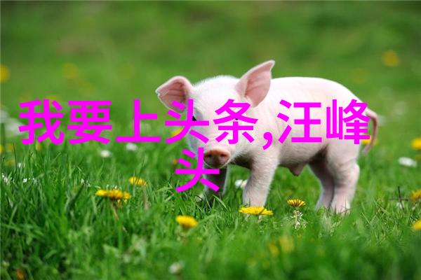 星辰的序曲1月与其守护的秘密