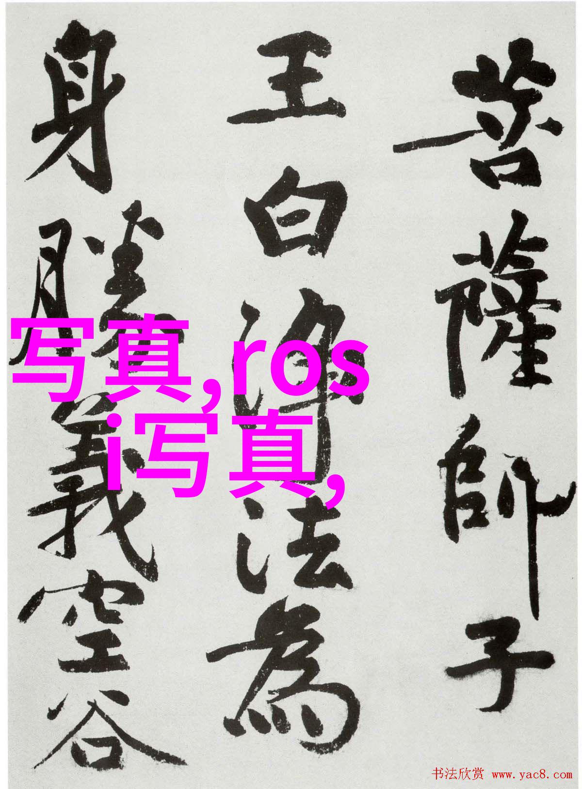 娱乐圈综艺大热门星光闪耀的夜晚与笑声回荡的舞台