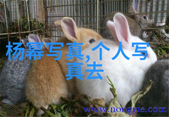 百年孤独独立之路的自我追寻