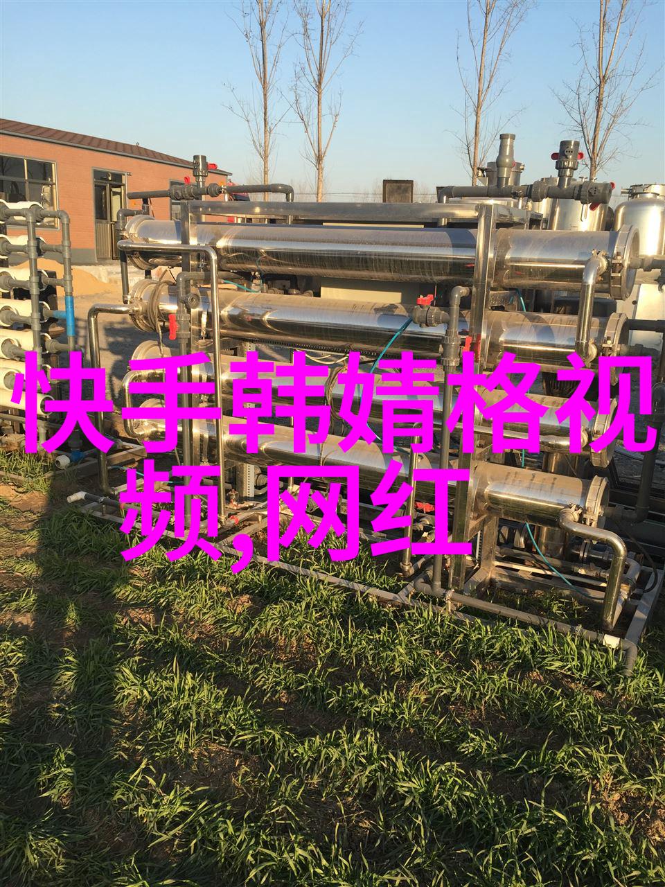 蜜桃成熟时音乐主题及其在电影中的作用探讨