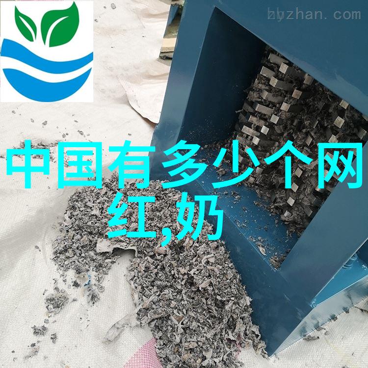 金刚杵大战肉莲花揭秘网络红视频背后的文化象征与审美魅力