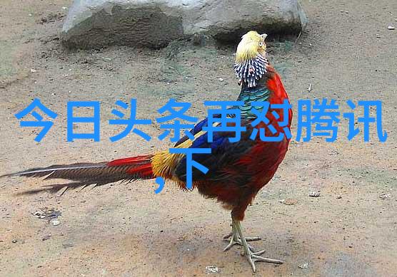 青娱乐极品盛宴-翩跹青春梦探秘青娱乐界的绝代佳人