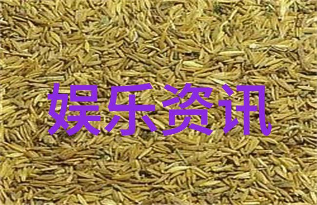 秋霞影视我在秋霞影视看到了生活的色彩