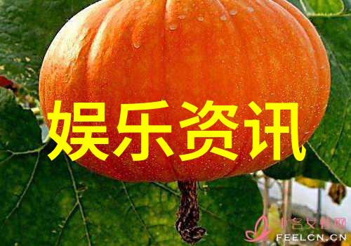 爱情与誓言婚巢电视剧中的浪漫探索
