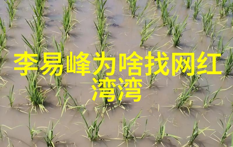 娱乐新闻头条星光熠熠影帝女神联袂亮相年度电影盛典