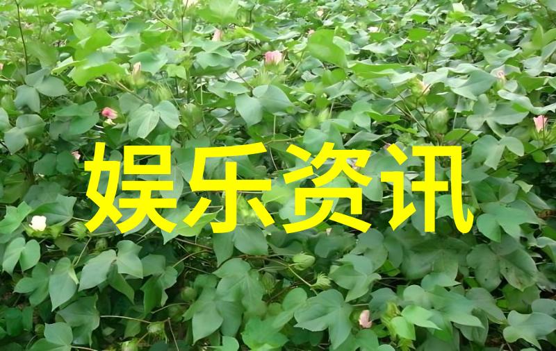 在自然的氛围中放纵你的非主流超拽男生网名全集