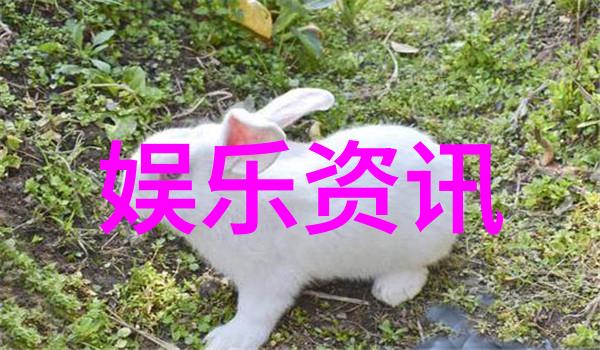 探索柳岩写真的艺术魅力与文化价值