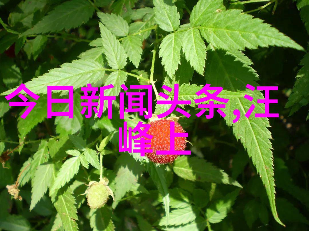 娱乐-综艺大热舞探秘电视荧屏上的才艺盛宴