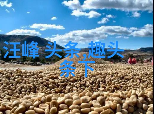 笑傲江湖综艺武林豪杰秀才艺