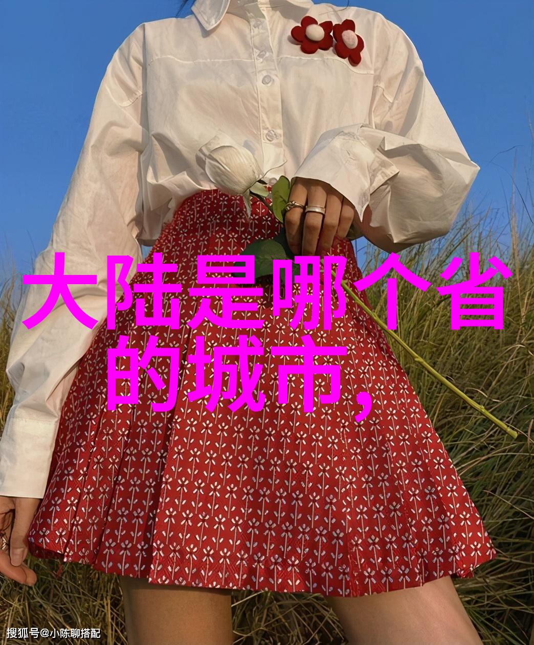 和张馨予一样被同一个代购骗 沈梦辰5个月之后要回钱