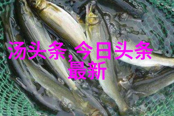 女子之美探索全棵女性艺术写真素材的魅力