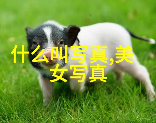 写真娱乐八卦-星光闪耀明星私密生活爆料全曝光