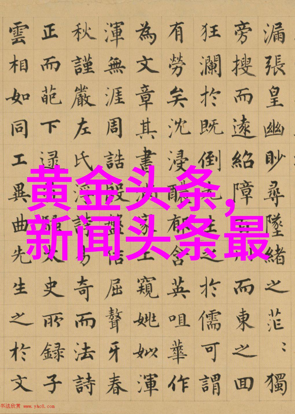 摄影写真-镜头下的故事捕捉生活的精彩瞬间