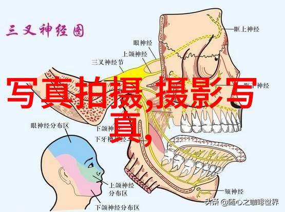客观还原还是主观塑造讨论电视剧媚者无疆的拍摄风格和艺术表现力