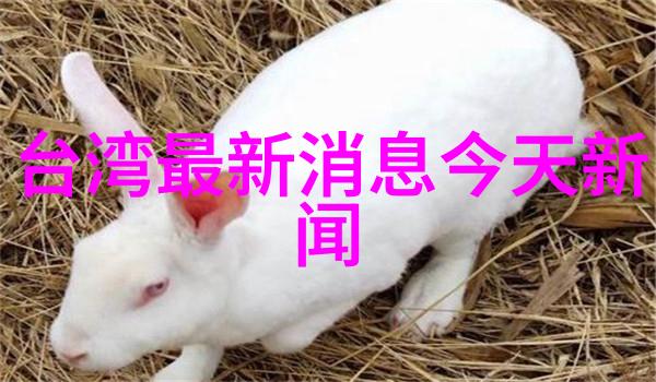 什么人不能挂八卦镜别让我看到你也别想装哪些人绝对不配佩戴八卦镜