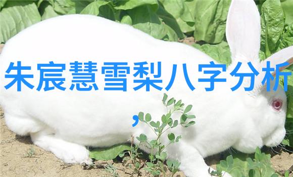 迫的爱人电影情感纠葛的爱与痛
