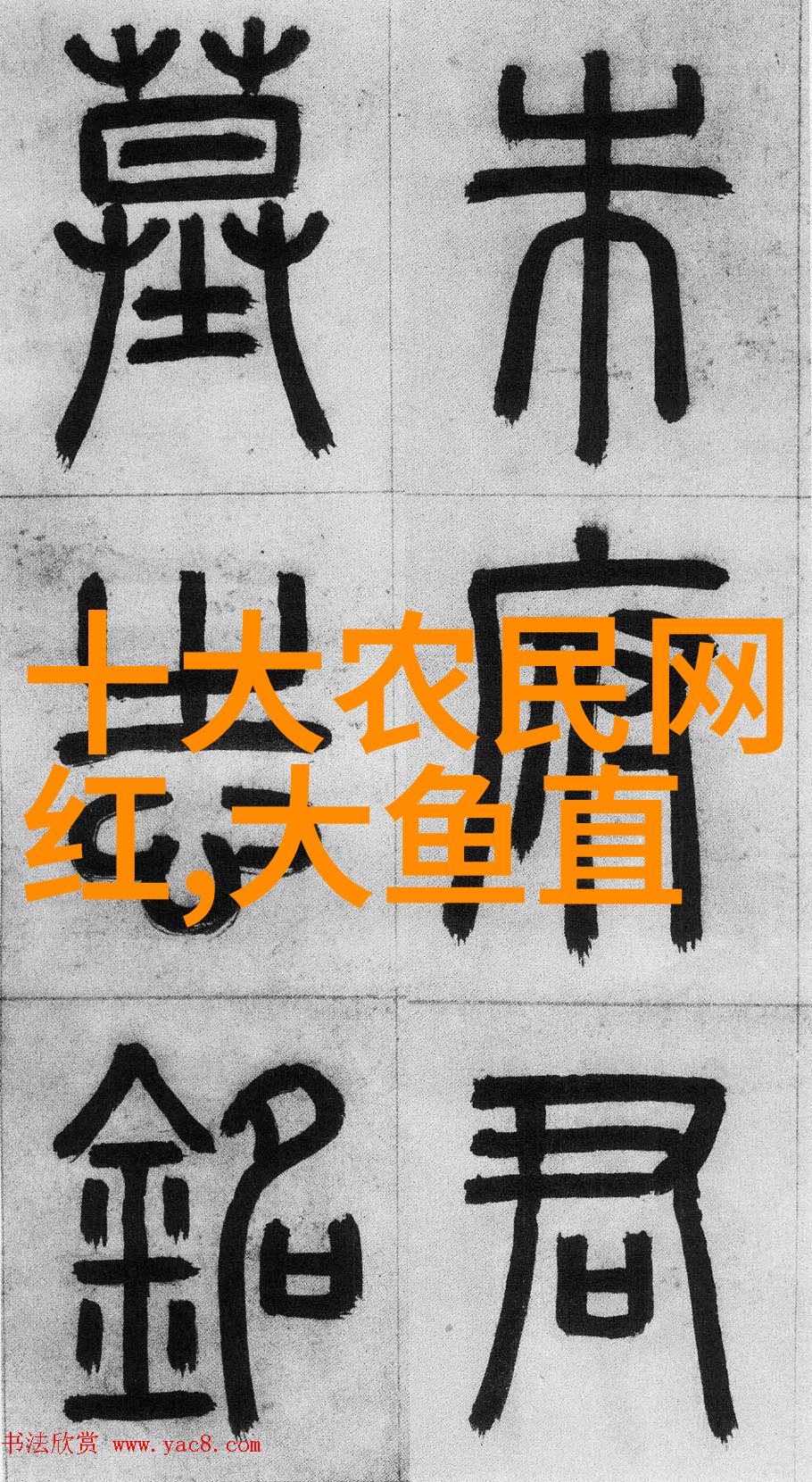 非传统文化背景者不宜佩戴八卦吊坠探究其意义与禁忌