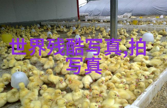 难忘经典老歌100首回忆录中的旋律