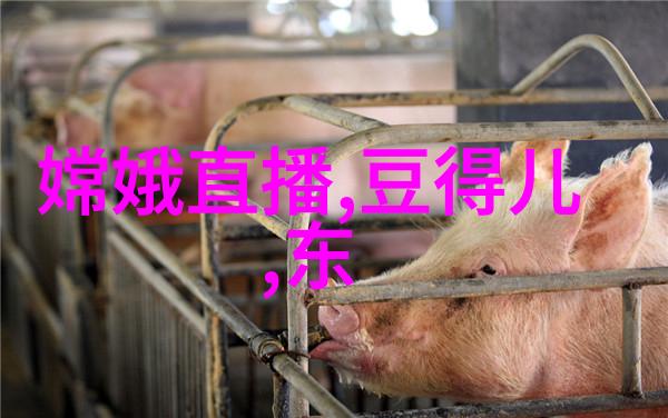 欧美娱乐八卦红毯上的秘密电影节明星背后的故事