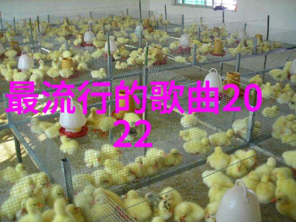 421页PDF的噩梦揭秘哪个章节最让人作呕