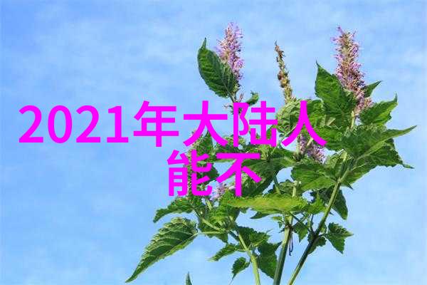 立冬风雪中攀岩大师王清华72小时挑战生涯新高峰