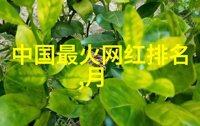 片多多免费观看高清 电影 - 无限娱乐探索片多多如何提供高品质的免费电影体验