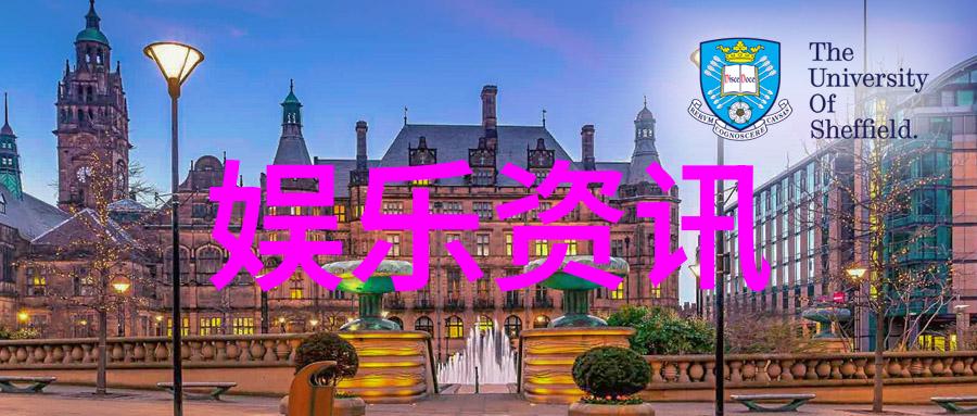 娱乐-笑声四射台湾综艺节目的魅力与活力