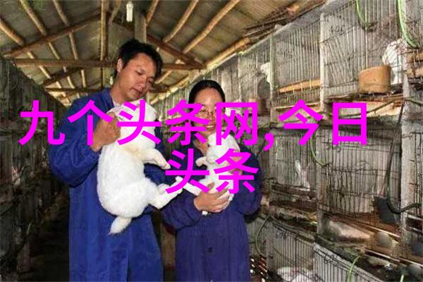抗战电视剧排行榜血与火经典抗战剧集终极盛宴