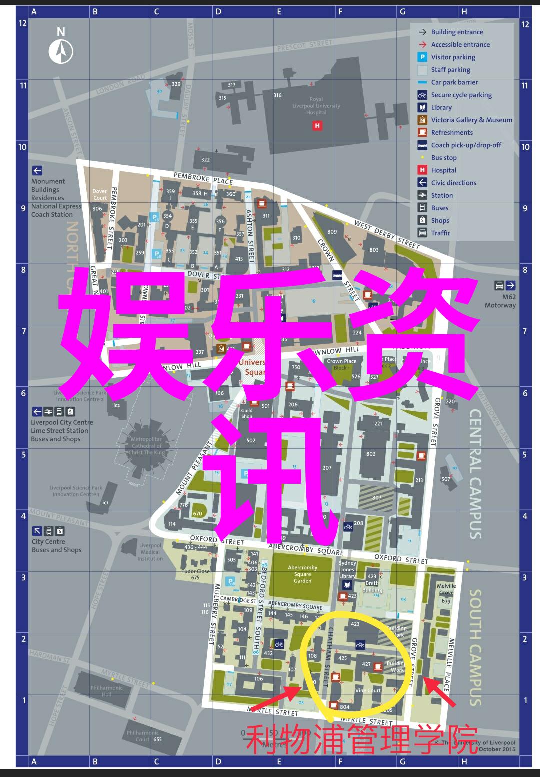 绽放花开满山金黄稻浪农田丰收时分最美农村风光图又是怎样的
