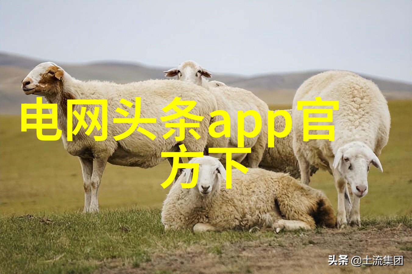 阿宾的奇遇从普通职员到英雄的蜕变