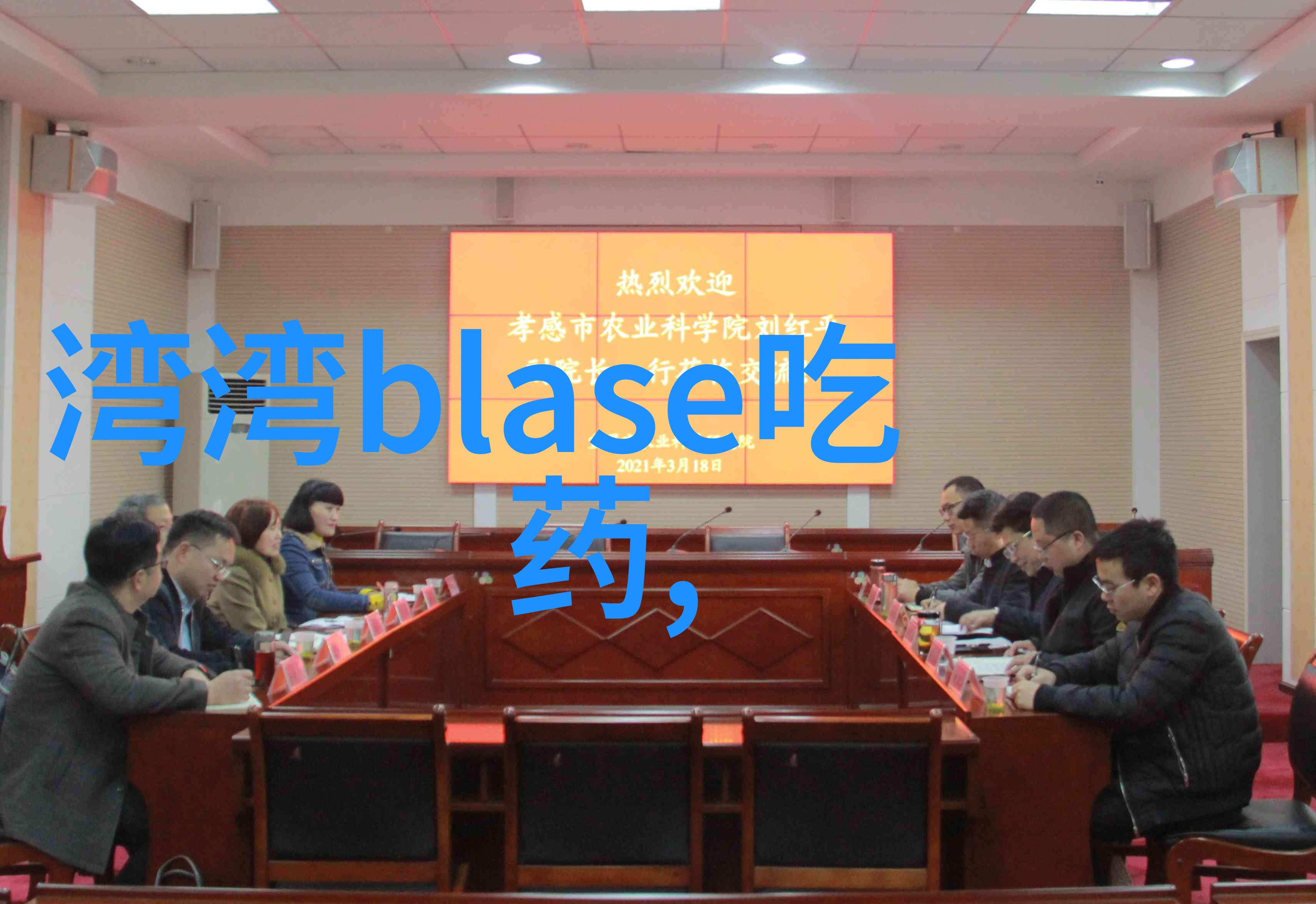 无心法师逆袭之巅峰孤寂
