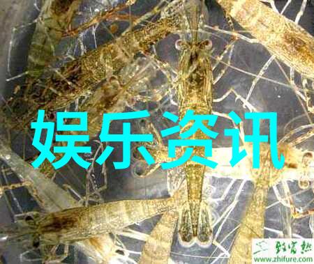 综艺秀我是怎样在一场狂欢中成为明星的
