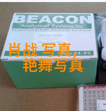 苹果园里的行动成龙监制刘烨主演影片启动 真实改编述外交撤侨