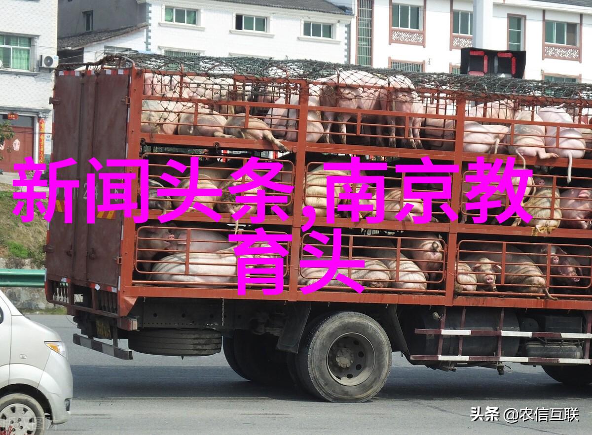 直播间热度飙升网红创下了怎样的最高人气记录
