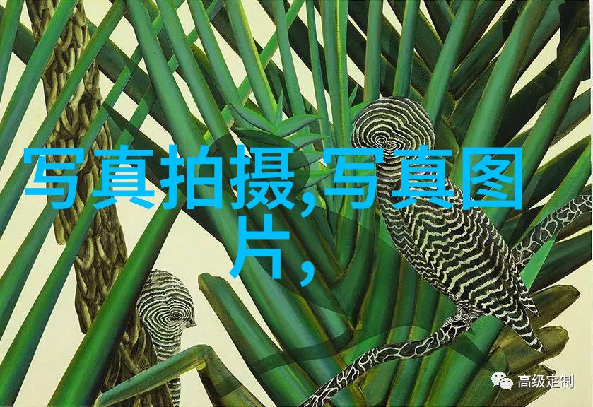 秋霞电影网我是如何在秋霞电影网上找到了心爱的经典老片的
