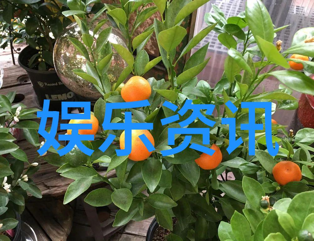 探秘苍井空写真色彩斑斓的艺术世界
