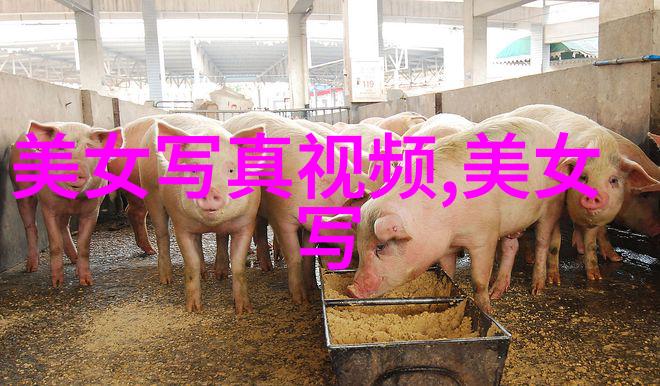 逆袭红途我如何在分手后成为娱乐圈的焦点人物