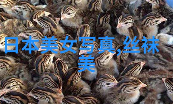 德云色ynk你是谁Dys又是什么秘密