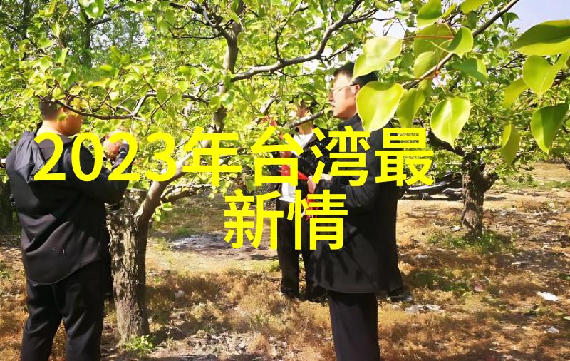 神马电影影城秘密