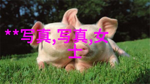揭秘如何影响公众心态
